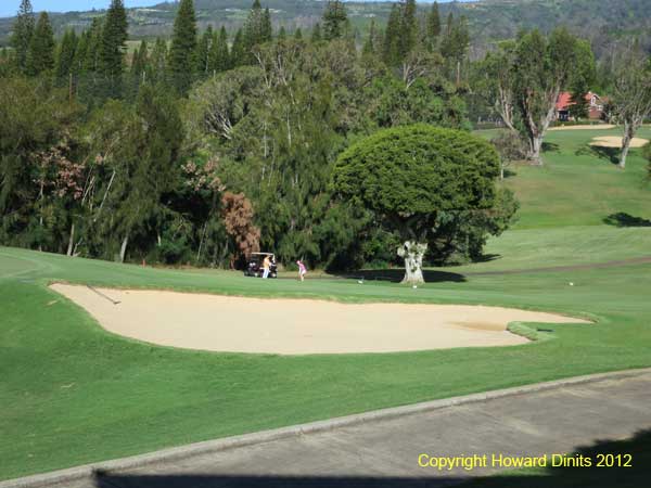 Maui real estate House home condo on golf course
